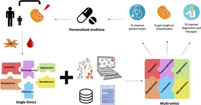 Multi-Omics Approaches to Improve Mitochondrial Disease Diagnosis: Challenges, Advances, and Perspectives